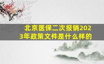 北京医保二次报销2023年政策文件是什么样的