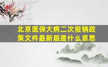 北京医保大病二次报销政策文件最新版是什么意思