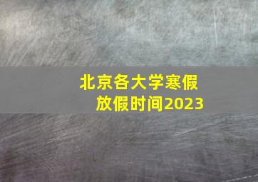 北京各大学寒假放假时间2023