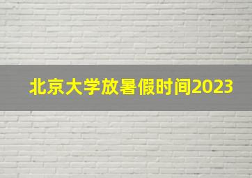 北京大学放暑假时间2023