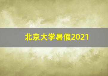 北京大学暑假2021