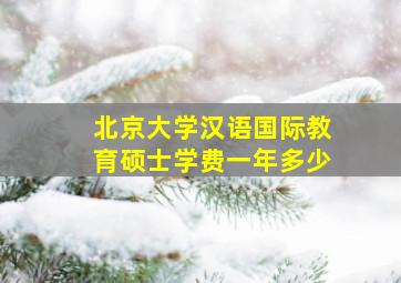 北京大学汉语国际教育硕士学费一年多少