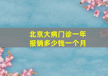 北京大病门诊一年报销多少钱一个月