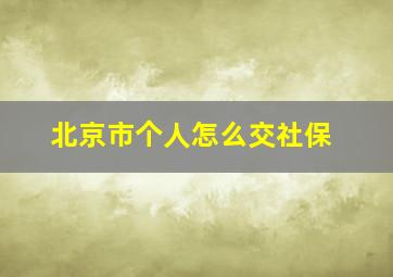 北京市个人怎么交社保