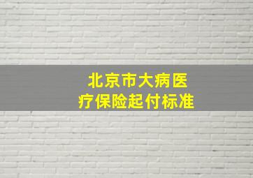 北京市大病医疗保险起付标准