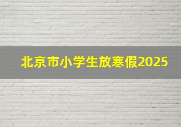 北京市小学生放寒假2025