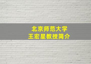 北京师范大学王宏星教授简介