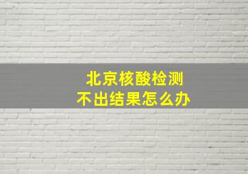 北京核酸检测不出结果怎么办