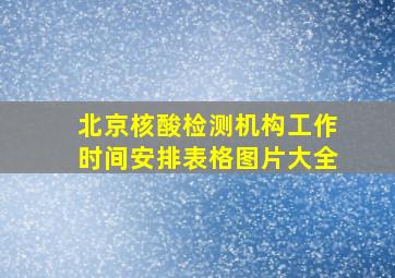 北京核酸检测机构工作时间安排表格图片大全