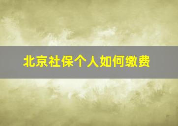 北京社保个人如何缴费