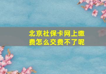 北京社保卡网上缴费怎么交费不了呢