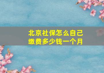 北京社保怎么自己缴费多少钱一个月