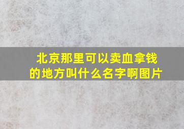 北京那里可以卖血拿钱的地方叫什么名字啊图片