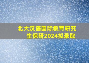 北大汉语国际教育研究生保研2024拟录取