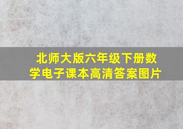 北师大版六年级下册数学电子课本高清答案图片