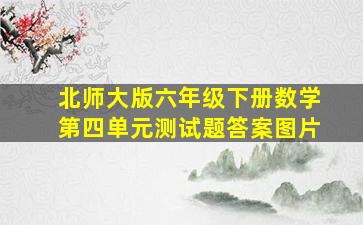 北师大版六年级下册数学第四单元测试题答案图片