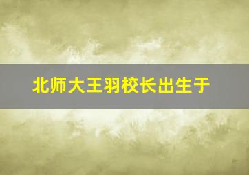 北师大王羽校长出生于