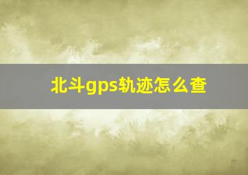 北斗gps轨迹怎么查