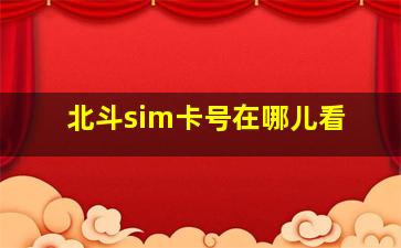 北斗sim卡号在哪儿看