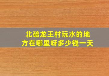 北碚龙王村玩水的地方在哪里呀多少钱一天