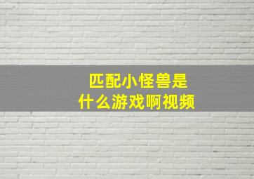 匹配小怪兽是什么游戏啊视频