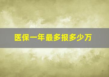 医保一年最多报多少万