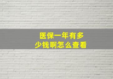 医保一年有多少钱啊怎么查看