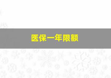 医保一年限额