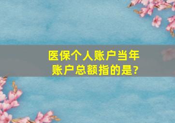 医保个人账户当年账户总额指的是?