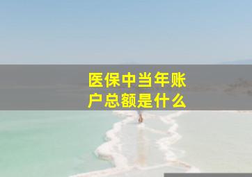 医保中当年账户总额是什么