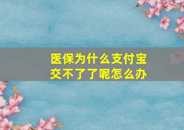 医保为什么支付宝交不了了呢怎么办