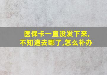 医保卡一直没发下来,不知道去哪了,怎么补办