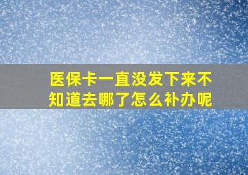 医保卡一直没发下来不知道去哪了怎么补办呢