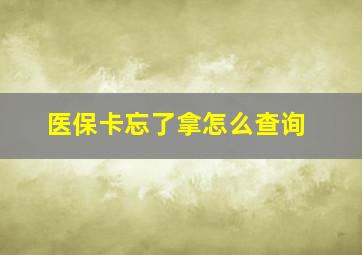 医保卡忘了拿怎么查询