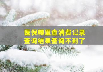 医保哪里查消费记录查询结果查询不到了