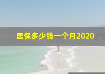 医保多少钱一个月2020