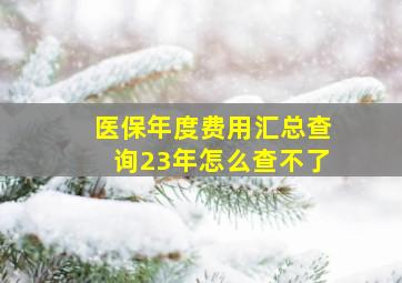 医保年度费用汇总查询23年怎么查不了