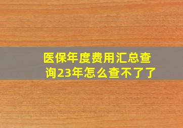 医保年度费用汇总查询23年怎么查不了了