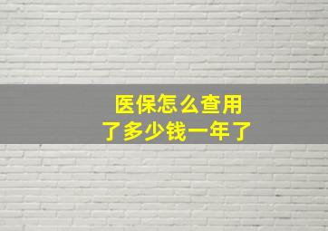 医保怎么查用了多少钱一年了