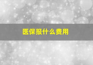 医保报什么费用