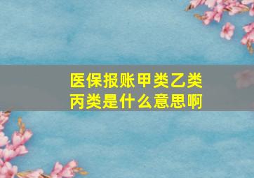 医保报账甲类乙类丙类是什么意思啊