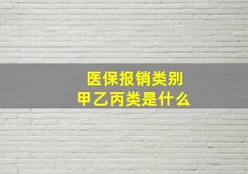 医保报销类别甲乙丙类是什么