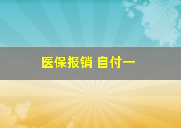 医保报销 自付一