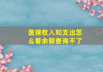 医保收入和支出怎么看余额查询不了