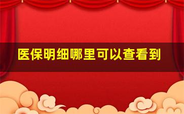 医保明细哪里可以查看到