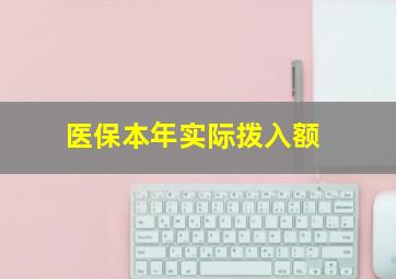 医保本年实际拨入额