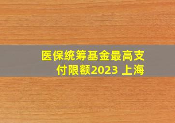 医保统筹基金最高支付限额2023 上海