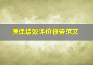 医保绩效评价报告范文