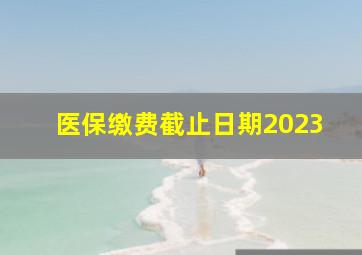 医保缴费截止日期2023