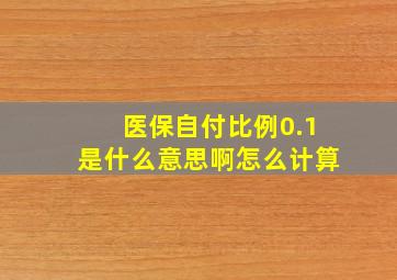 医保自付比例0.1是什么意思啊怎么计算